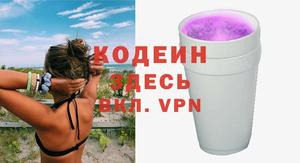 хмурый Пестово