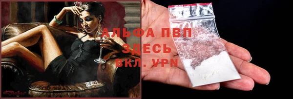 хмурый Пестово