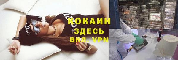 дживик Семилуки