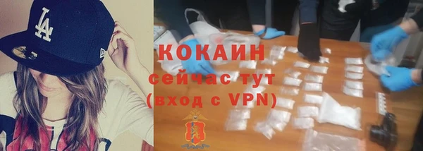 эйфоретик Пересвет