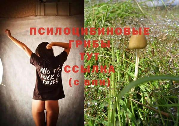 эйфоретик Пересвет