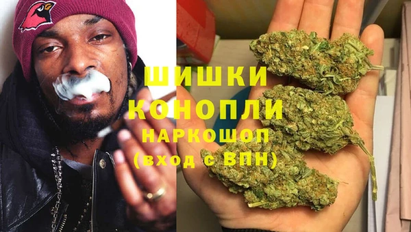 эйфоретик Пересвет