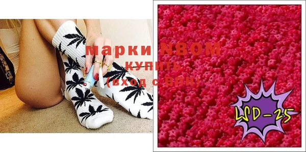 хмурый Пестово