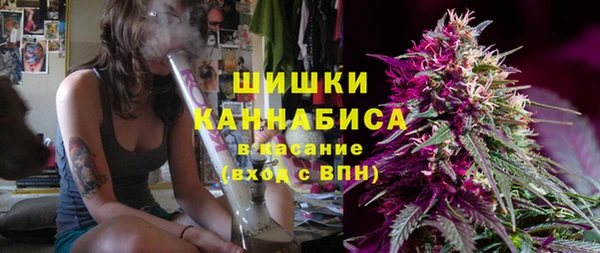 хмурый Пестово