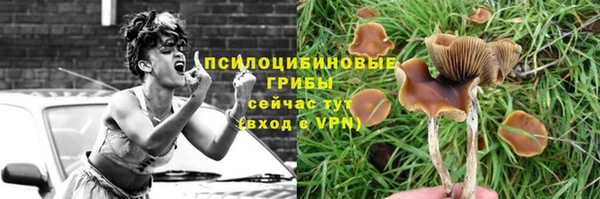 эйфоретик Пересвет