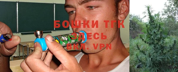 гашик Переславль-Залесский