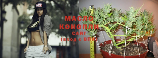 эйфоретик Пересвет
