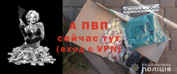 эйфоретик Пересвет