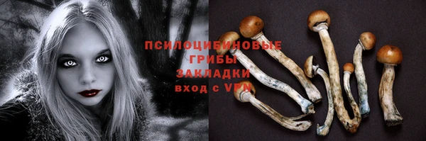 гашик Переславль-Залесский